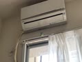 くる？こない？P.T.R